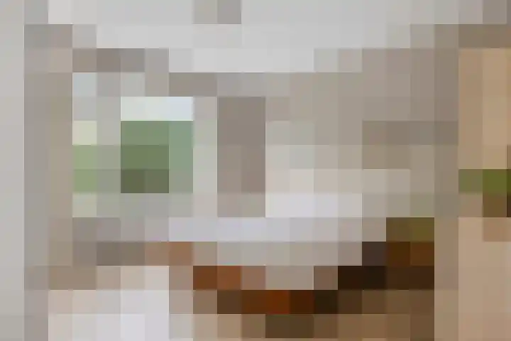 Guido Gezellelaan 124 Etten-Leur thumbnail 22