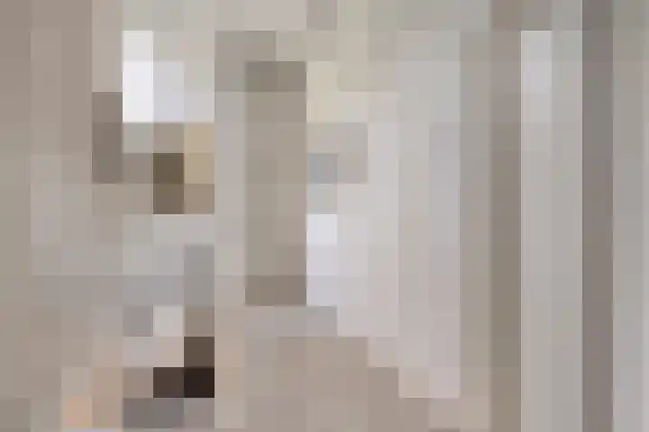 Guido Gezellelaan 124 Etten-Leur thumbnail 27