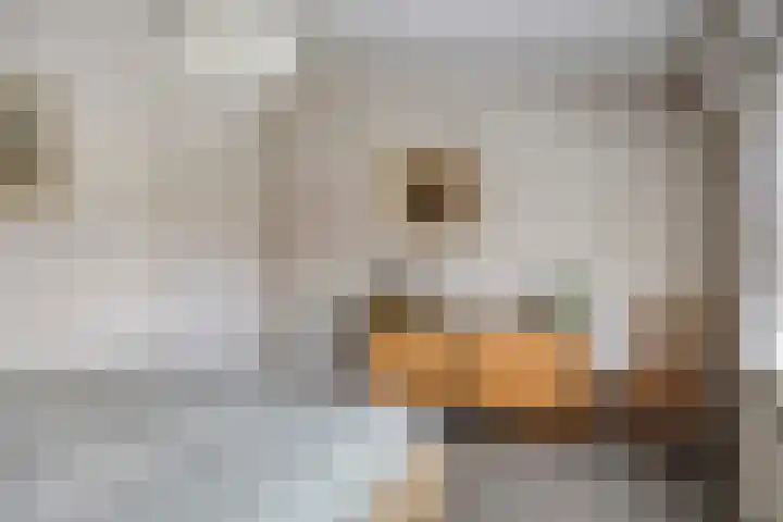 Guido Gezellelaan 124 Etten-Leur thumbnail 29