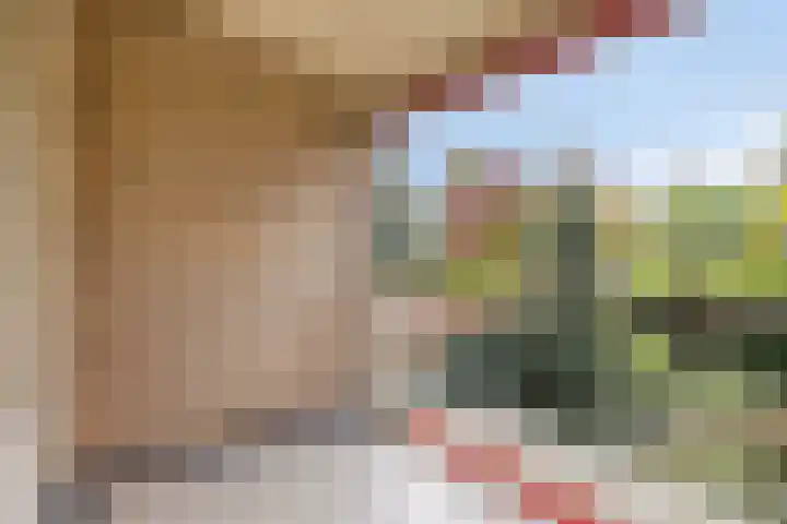 Guido Gezellelaan 124 Etten-Leur thumbnail 35