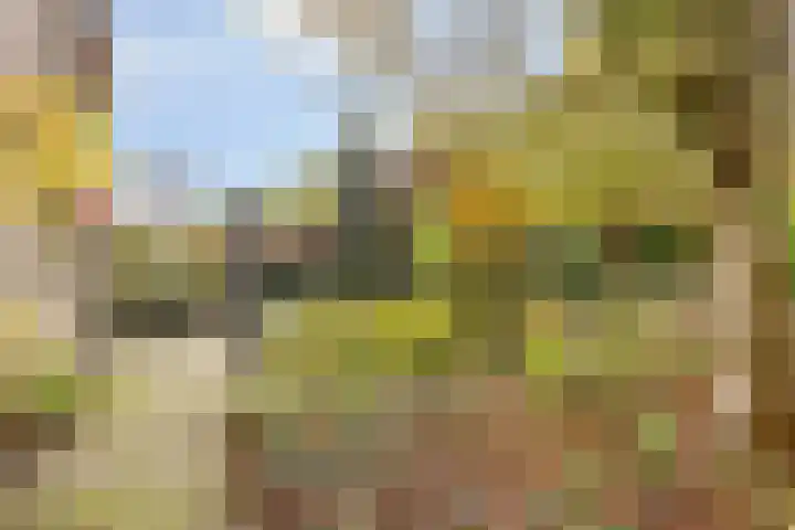 Guido Gezellelaan 124 Etten-Leur thumbnail 38