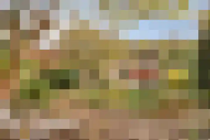 Guido Gezellelaan 124 Etten-Leur thumbnail 39