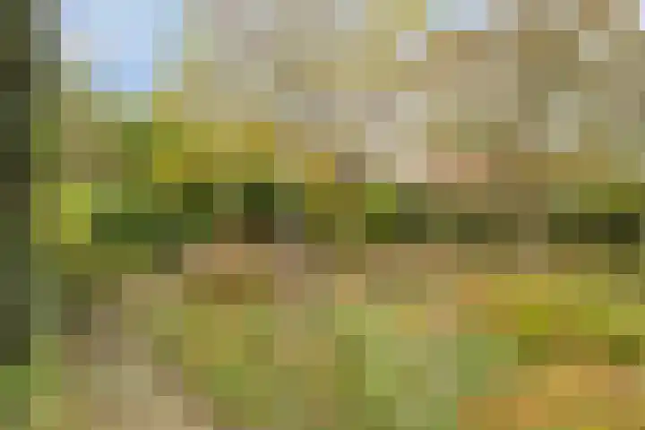 Guido Gezellelaan 124 Etten-Leur thumbnail 4