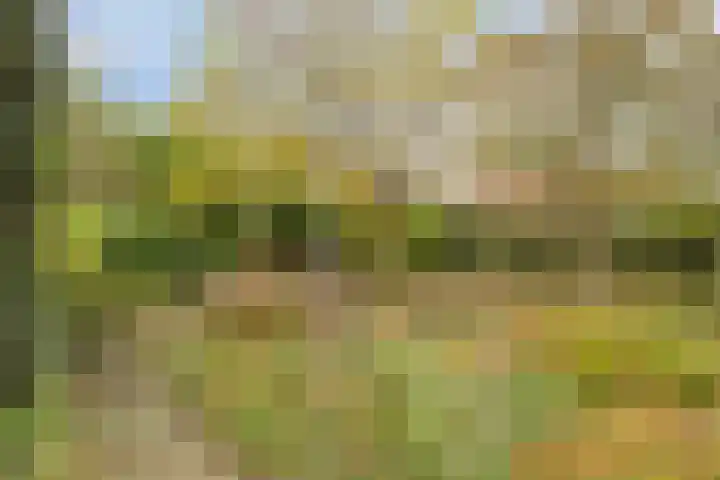 Guido Gezellelaan 124 Etten-Leur thumbnail 40