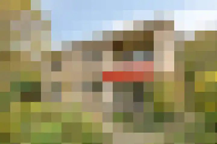 Guido Gezellelaan 124 Etten-Leur thumbnail 41