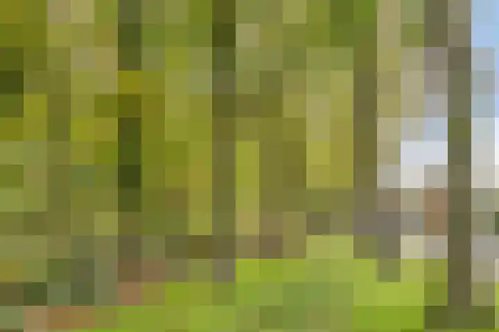 Guido Gezellelaan 124 Etten-Leur thumbnail 43
