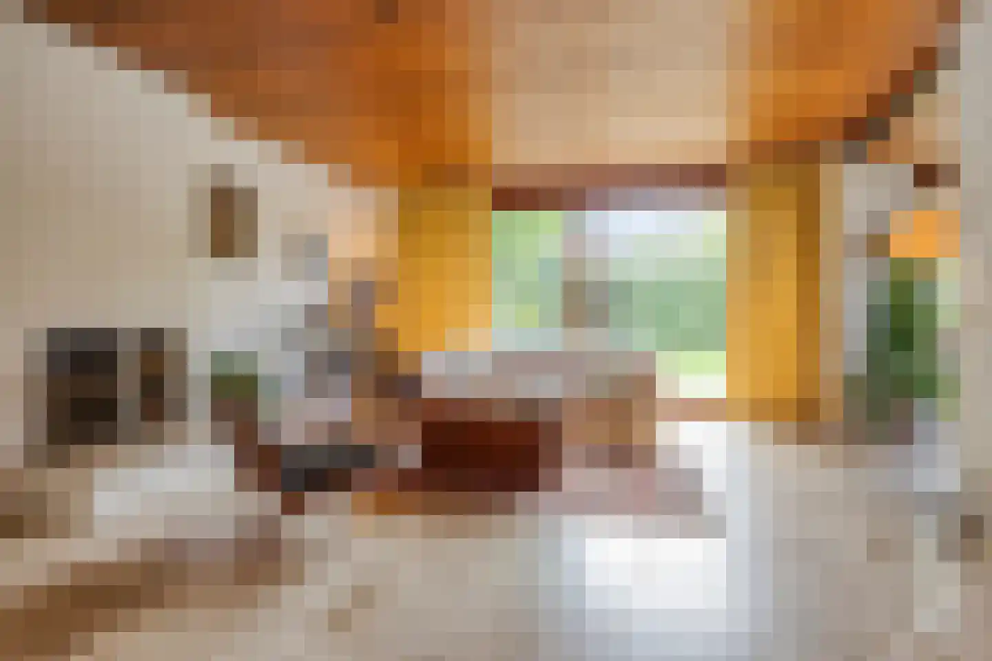 Guido Gezellelaan 136 Etten-Leur thumbnail 12