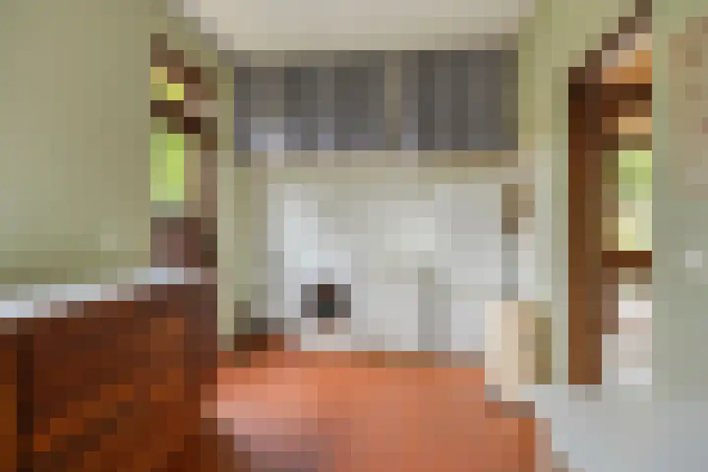 Guido Gezellelaan 136 Etten-Leur thumbnail 20