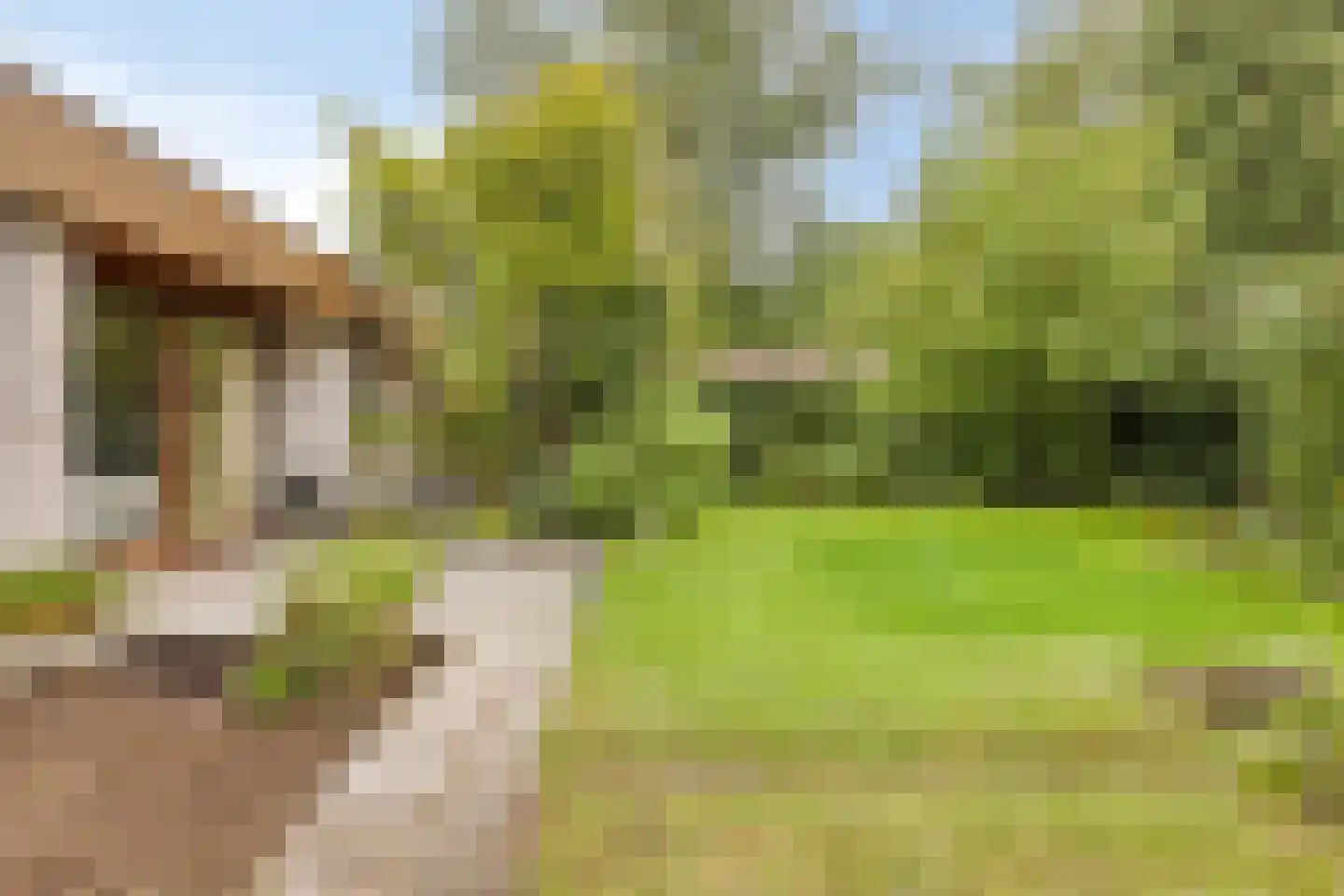 Guido Gezellelaan 136 Etten-Leur thumbnail 34