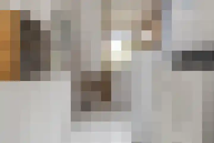 Guido Gezellelaan 138 Hillegom thumbnail 17