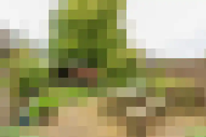Guido Gezellelaan 138 Hillegom thumbnail 35