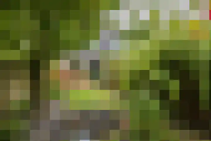 Guido Gezellelaan 138 Hillegom thumbnail 36