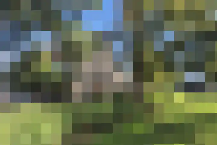 Guido Gezellelaan 138 Hillegom thumbnail 37