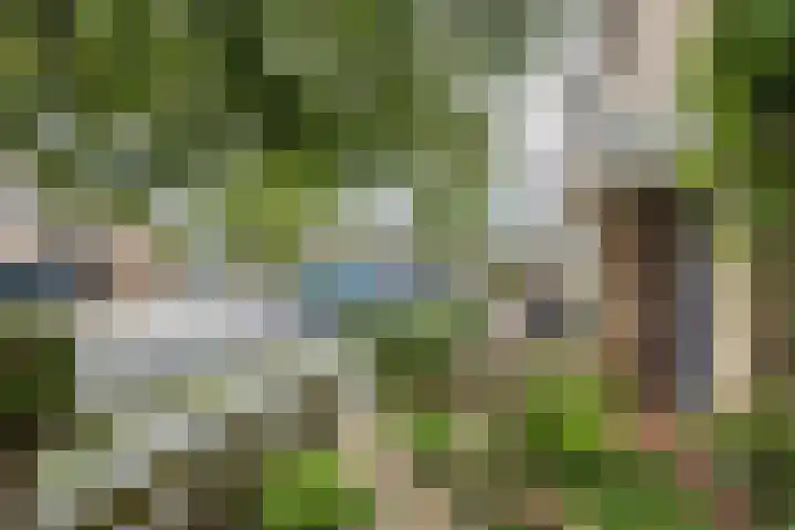 Guido Gezellelaan 138 Hillegom thumbnail 38