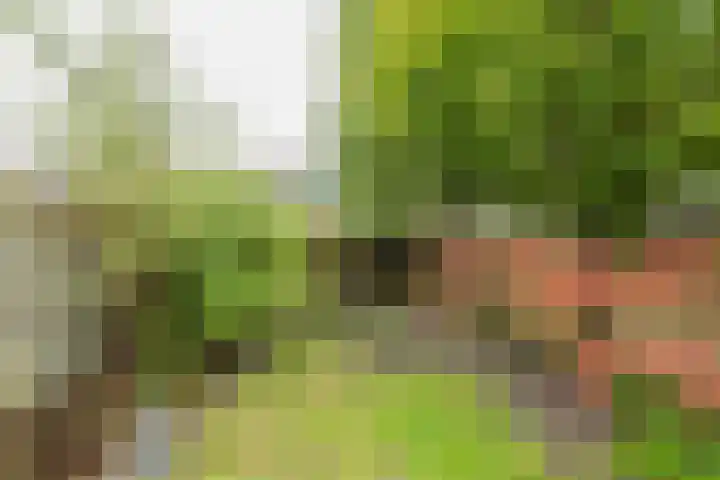 Guido Gezellelaan 138 Hillegom thumbnail 4