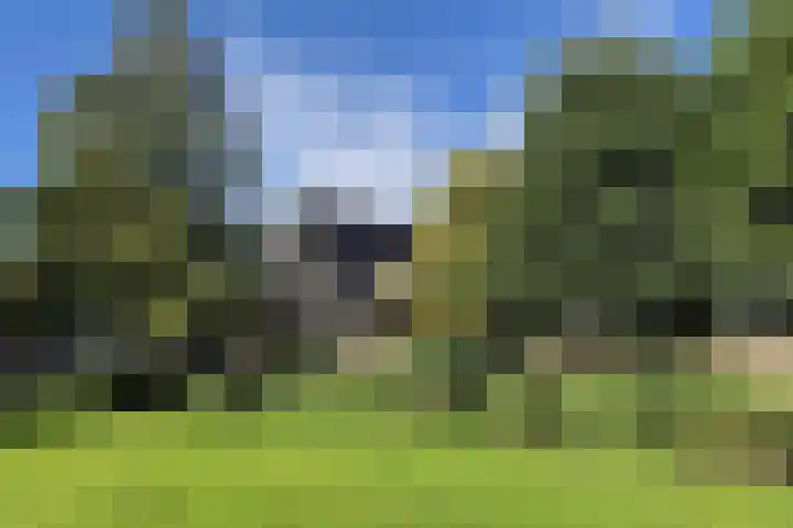 Guido Gezellelaan 138 Hillegom thumbnail 41
