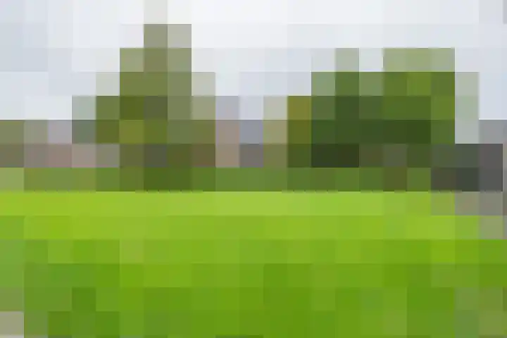 Guido Gezellelaan 138 Hillegom thumbnail 42