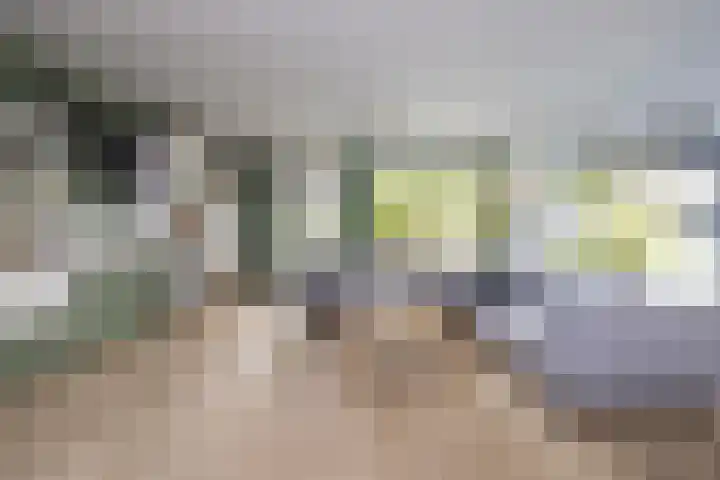 Guido Gezellelaan 138 Hillegom thumbnail 6