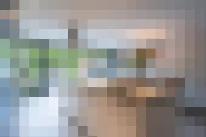Guido Gezellelaan 157 Goirle thumbnail 10
