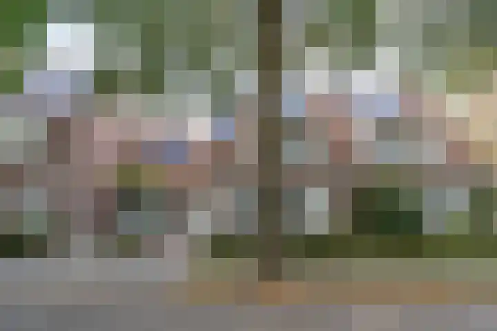 Guido Gezellelaan 157 Goirle thumbnail 35