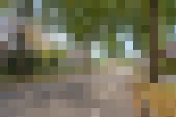Guido Gezellelaan 157 Goirle thumbnail 36