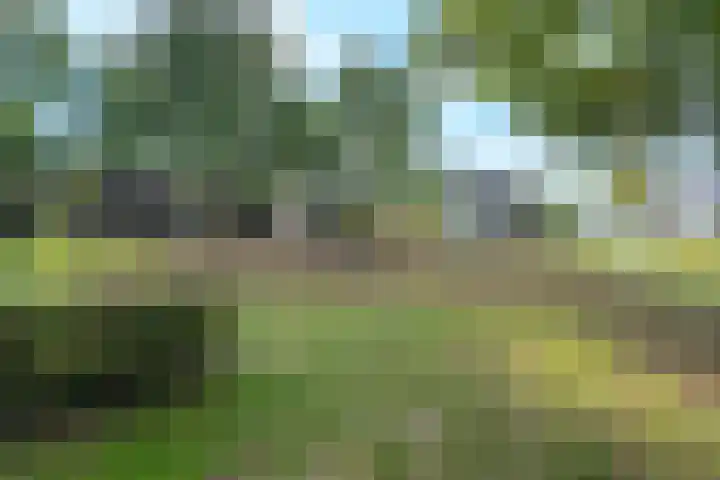 Guido Gezellelaan 157 Goirle thumbnail 37