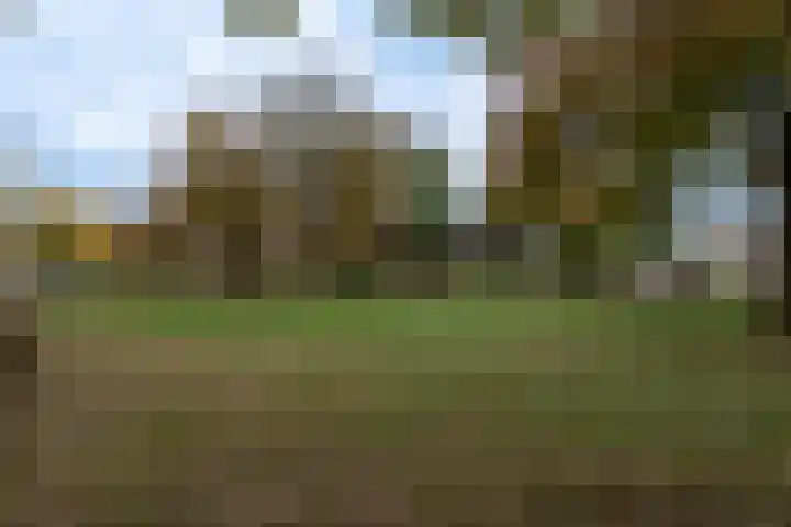 Guido Gezellelaan 157 Goirle thumbnail 38