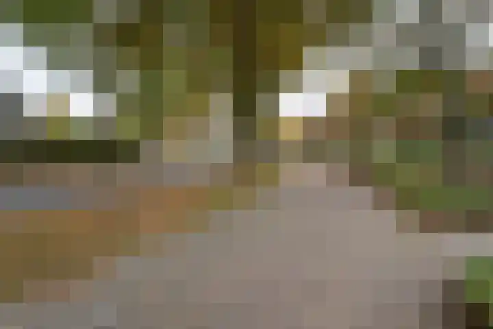 Guido Gezellelaan 157 Goirle thumbnail 39