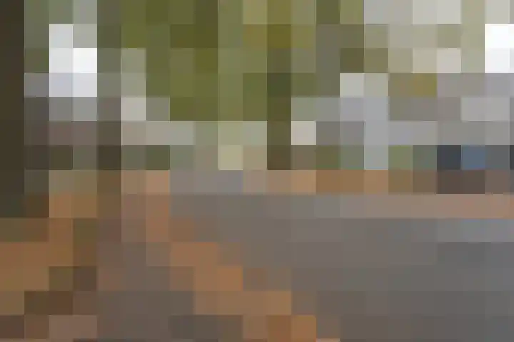 Guido Gezellelaan 157 Goirle thumbnail 40