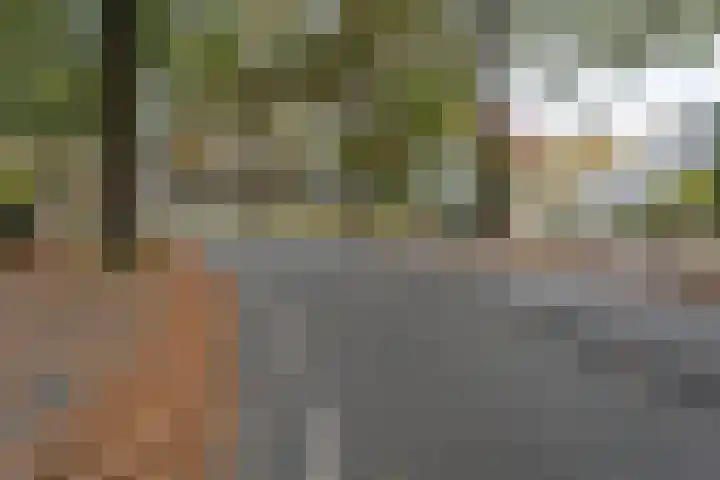 Guido Gezellelaan 157 Goirle thumbnail 41