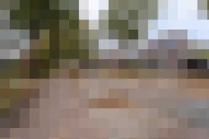 Guido Gezellelaan 157 Goirle thumbnail 42