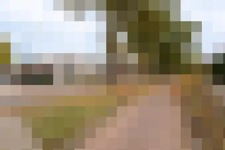 Guido Gezellelaan 157 Goirle thumbnail 43