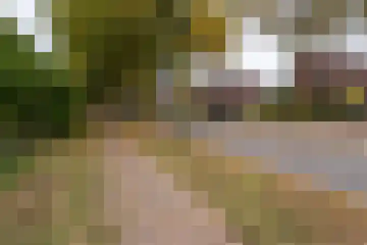 Guido Gezellelaan 157 Goirle thumbnail 44