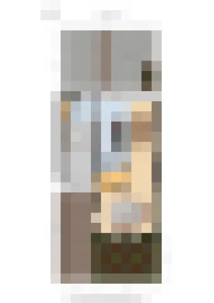 Guido Gezellelaan 157 Goirle thumbnail 46