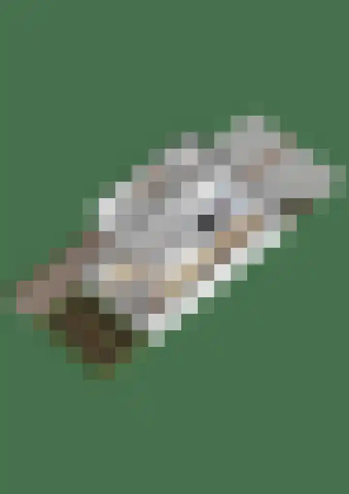 Guido Gezellelaan 157 Goirle thumbnail 47
