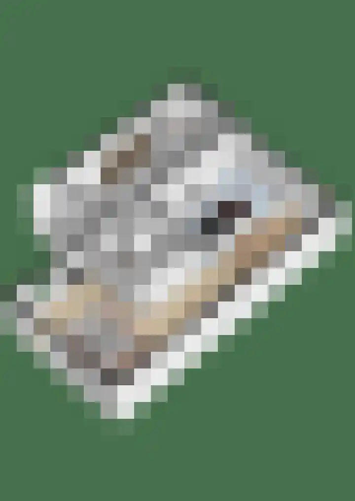 Guido Gezellelaan 157 Goirle thumbnail 49