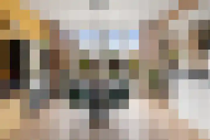 Guido Gezellelaan 16 Etten-Leur thumbnail 10
