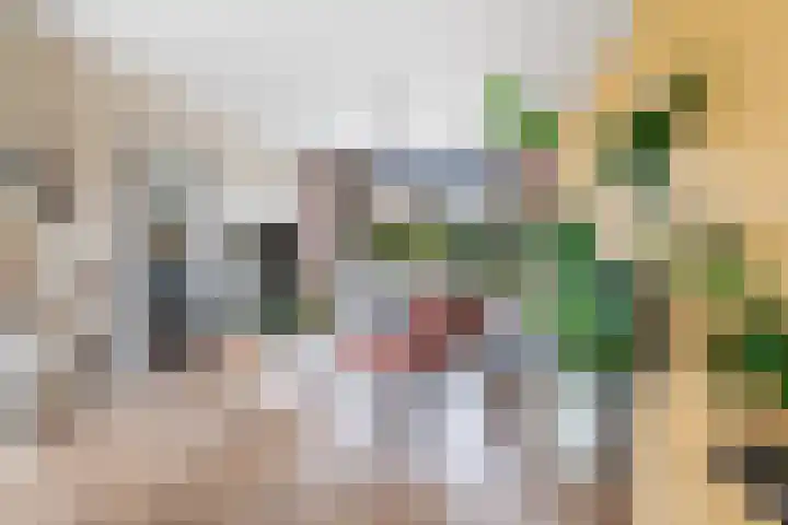 Guido Gezellelaan 16 Etten-Leur thumbnail 12