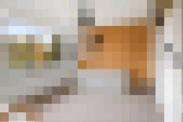 Guido Gezellelaan 16 Etten-Leur thumbnail 24