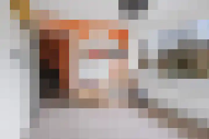 Guido Gezellelaan 16 Etten-Leur thumbnail 25
