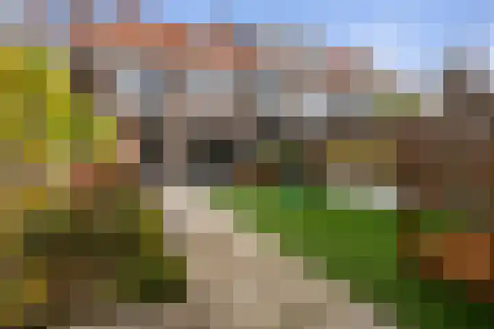Guido Gezellelaan 16 Etten-Leur thumbnail 39