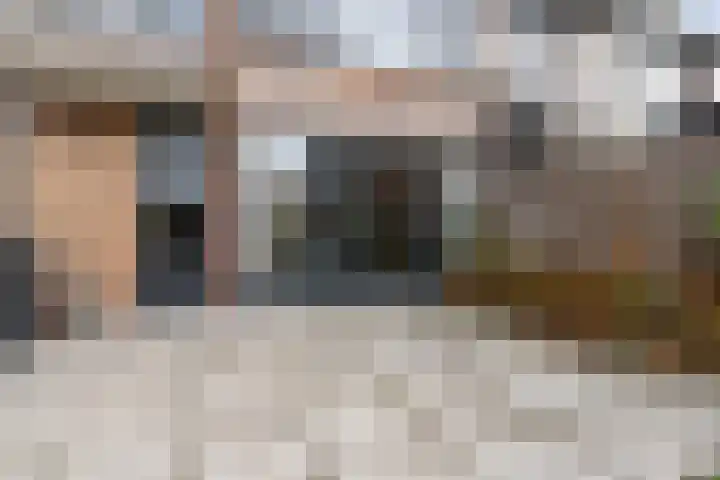 Guido Gezellelaan 16 Etten-Leur thumbnail 41