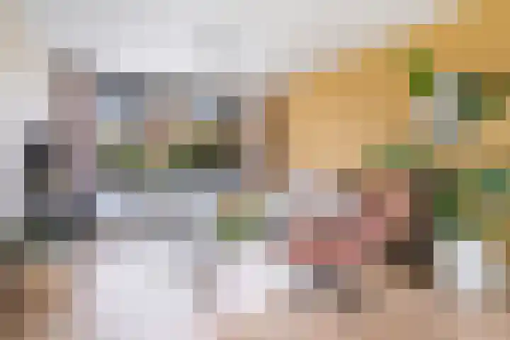 Guido Gezellelaan 16 Etten-Leur thumbnail 6