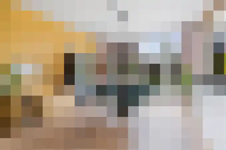 Guido Gezellelaan 16 Etten-Leur thumbnail 9