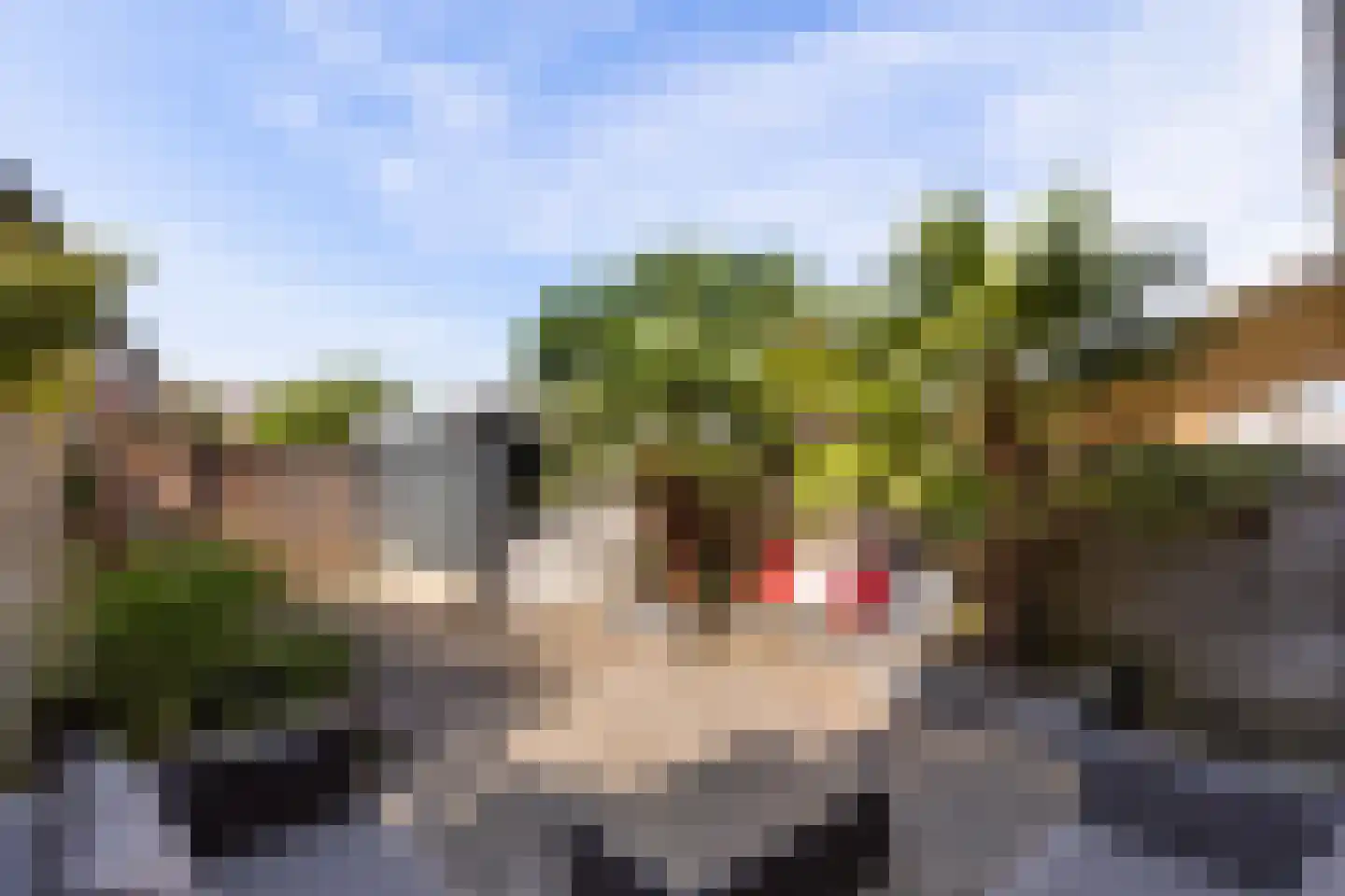 Guido Gezellelaan 16 Hillegom thumbnail 10