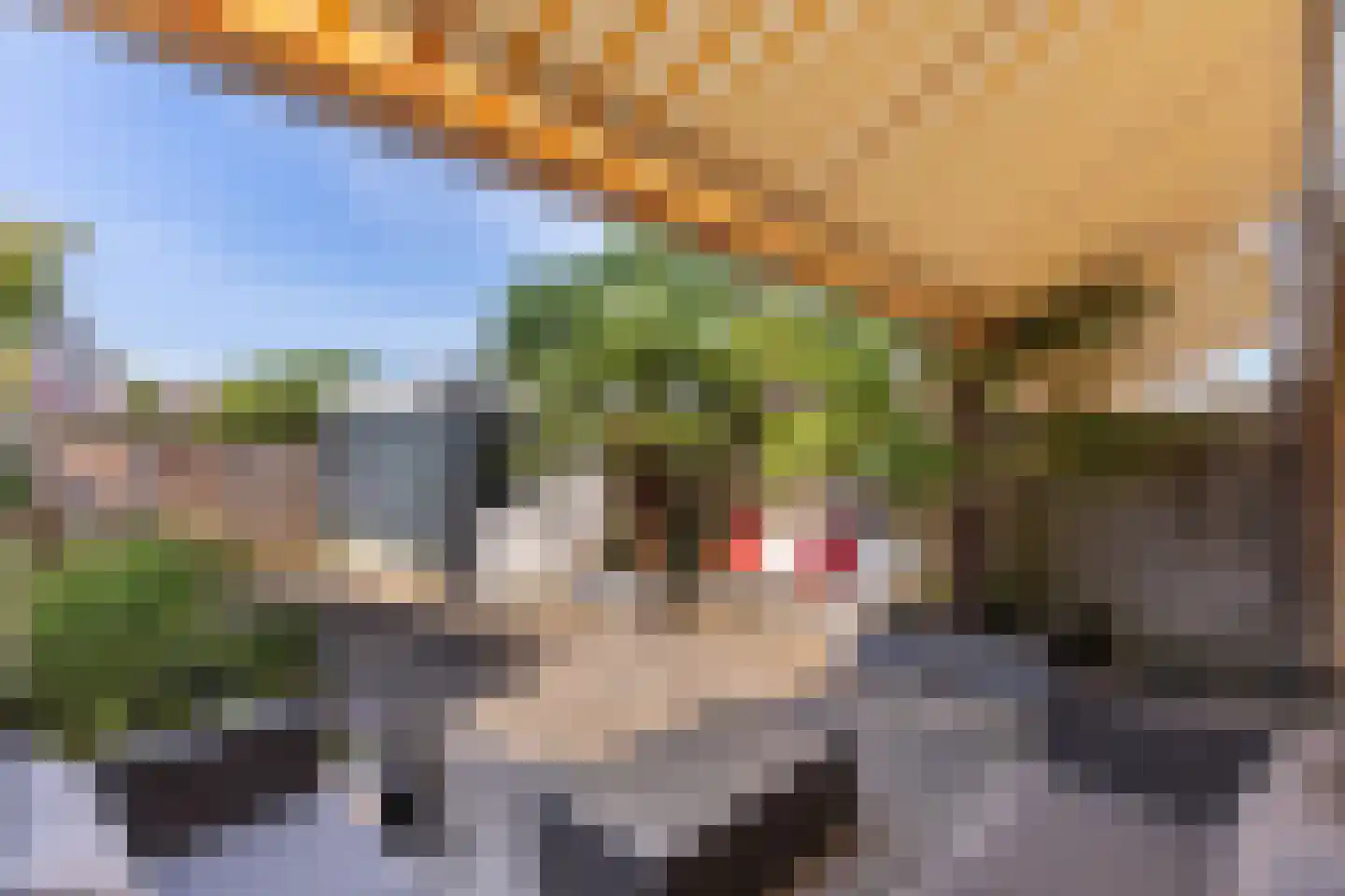 Guido Gezellelaan 16 Hillegom thumbnail 11