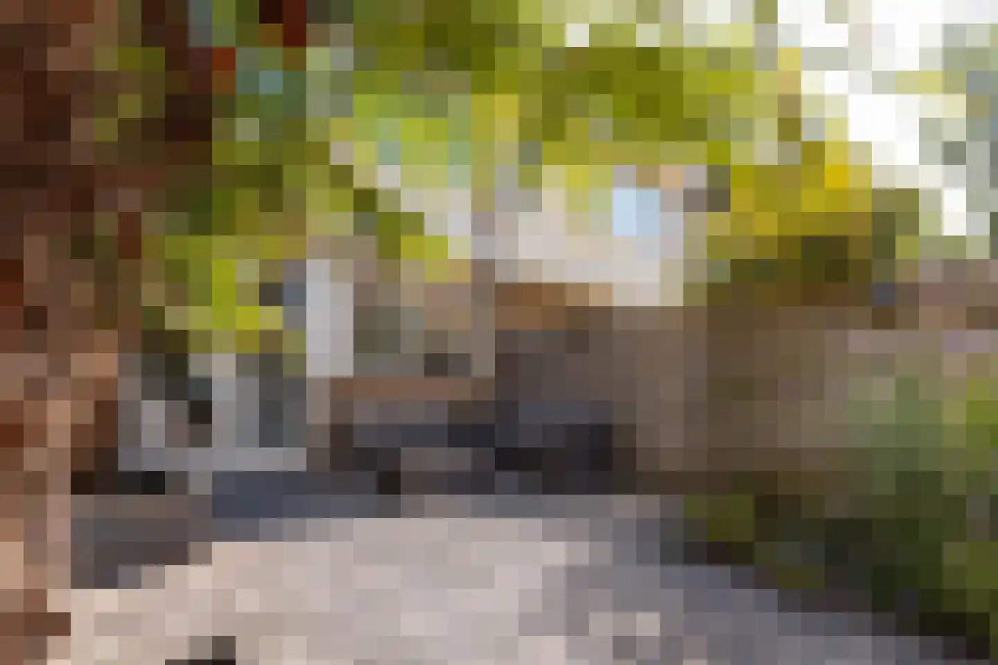 Guido Gezellelaan 16 Hillegom thumbnail 14