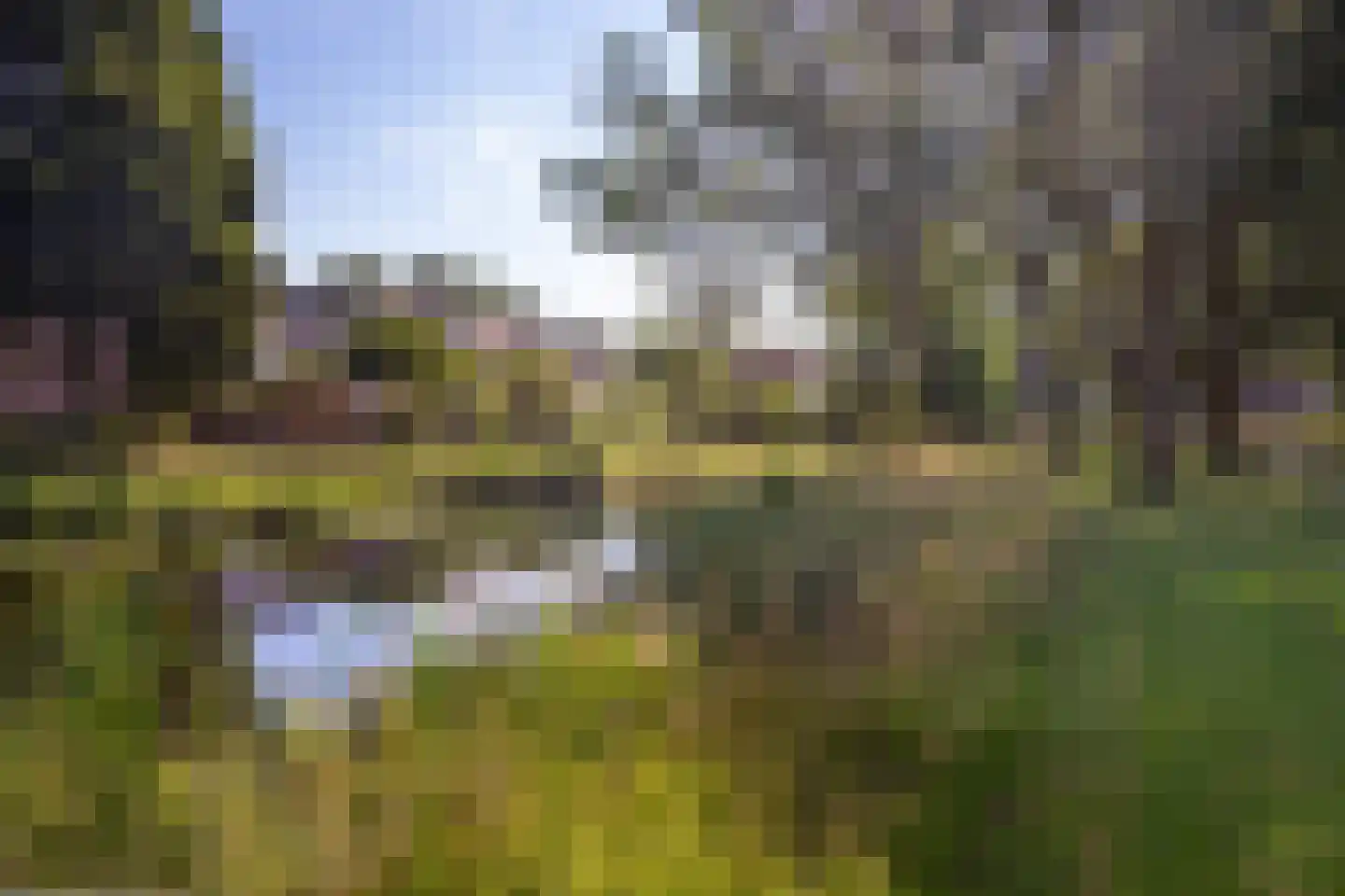 Guido Gezellelaan 16 Hillegom thumbnail 35