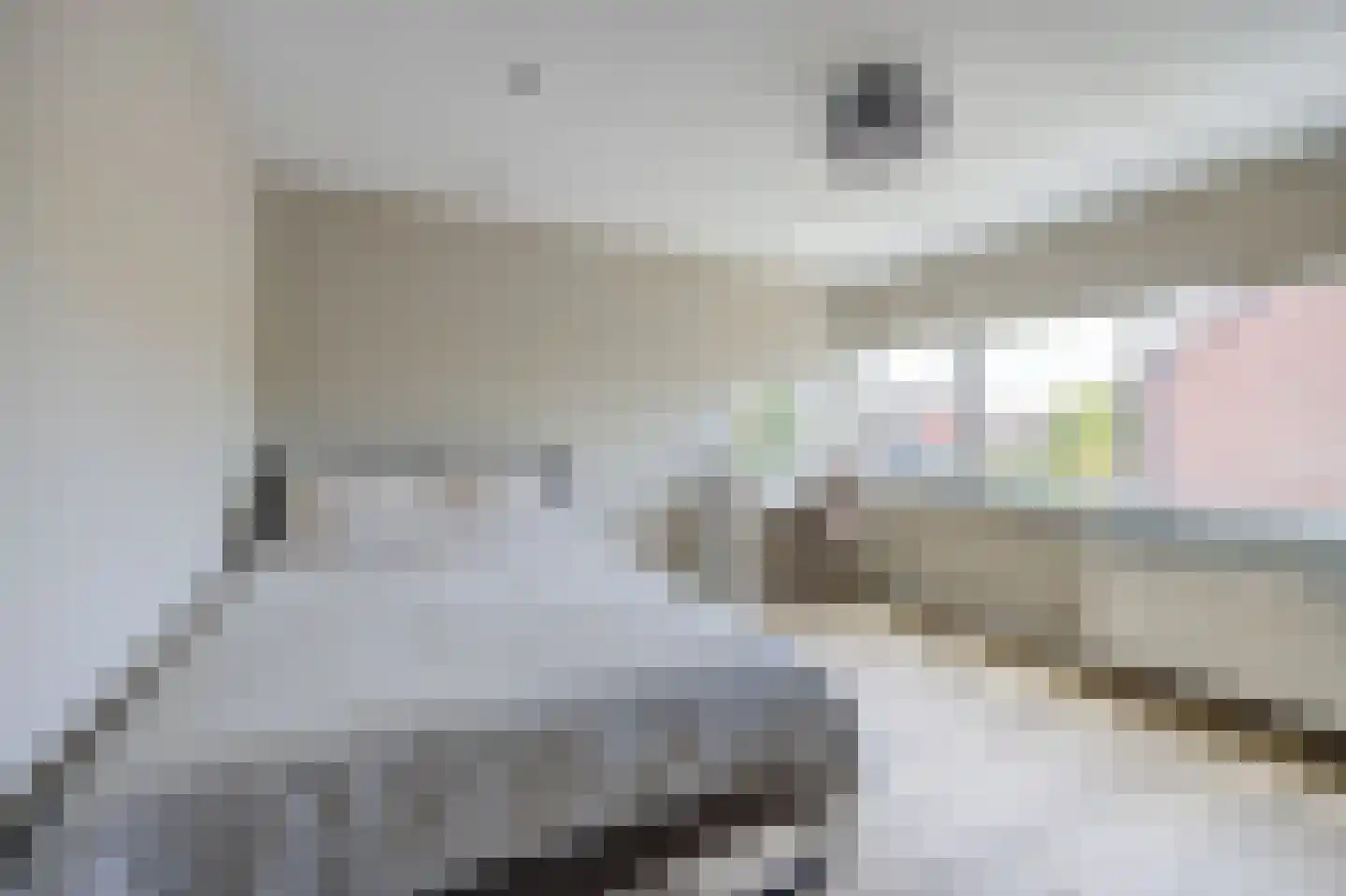 Guido Gezellelaan 18 Etten-Leur thumbnail 24