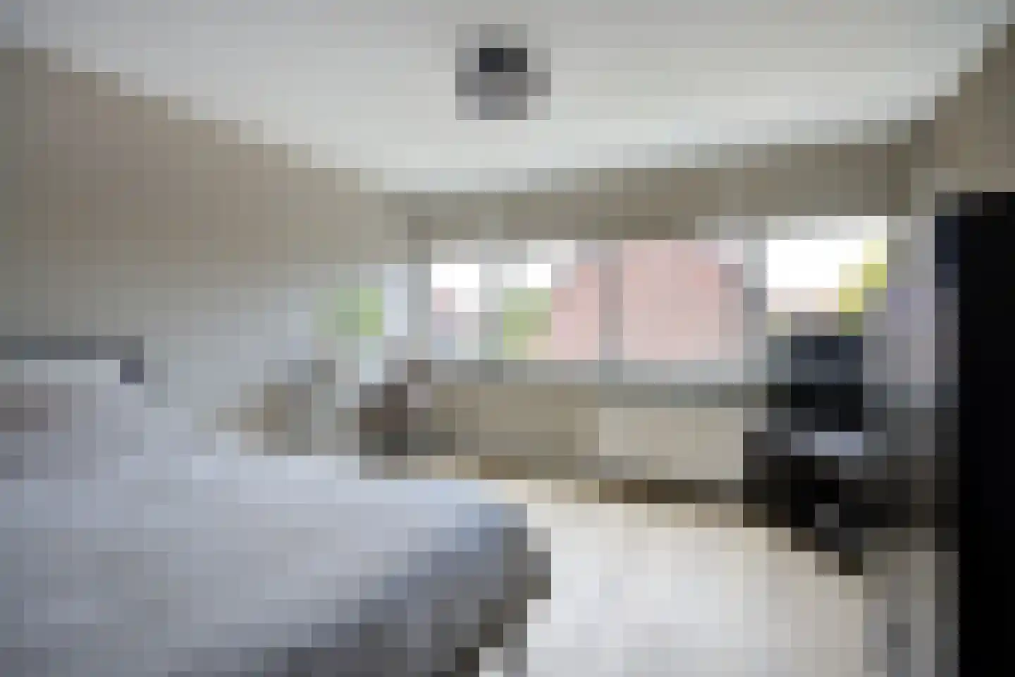 Guido Gezellelaan 18 Etten-Leur thumbnail 25